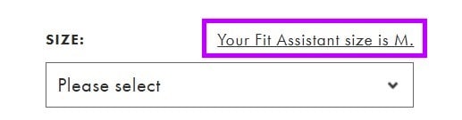 Image of a Fit Assistant size recommendation on desktop