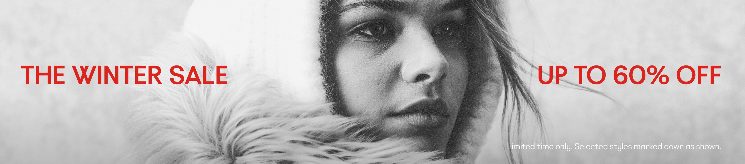 Winter sale. Up to 60% off