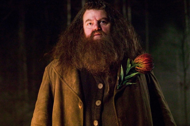 the five best big beards