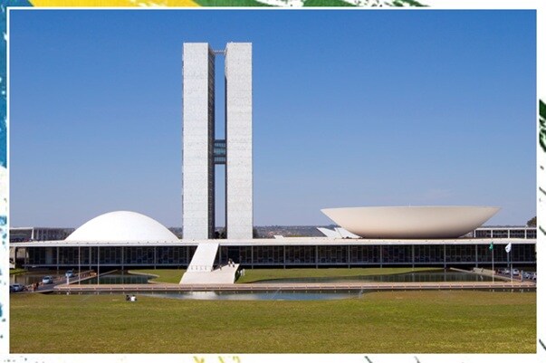 stylish-things-from-brazil