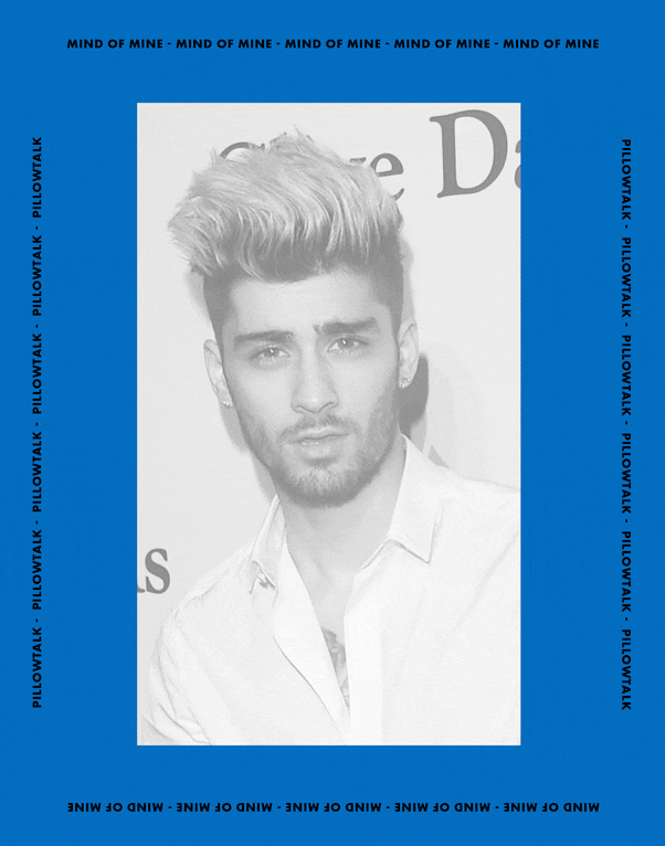 Zayn Malik in Numbers