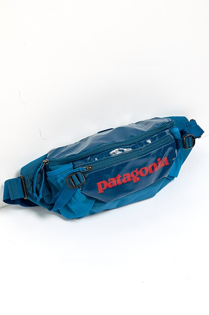 Patagonia bum bag