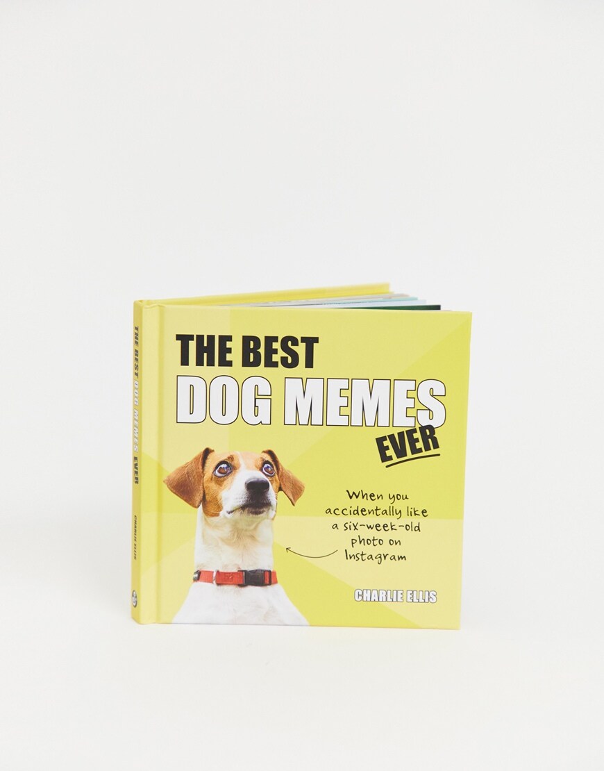 book about dog memes
