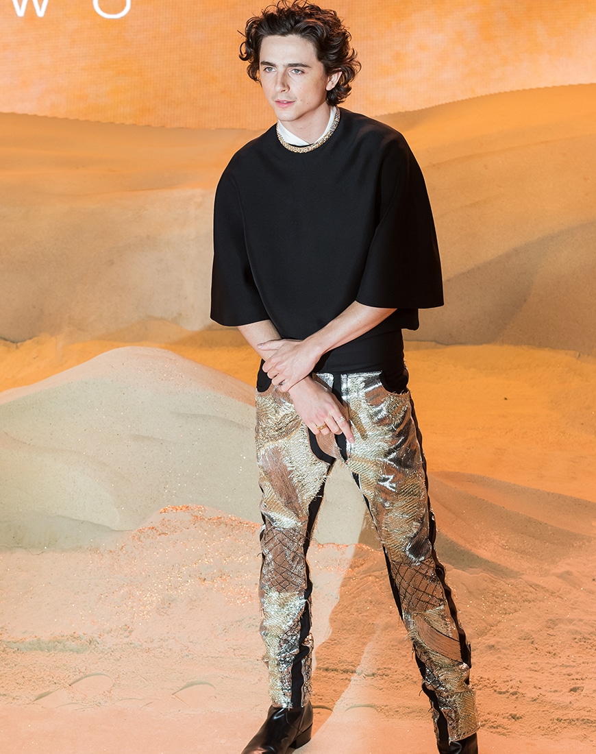 Timothée Chalamet wearing black shirt and sparkly trousers