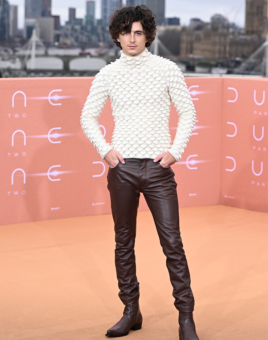 Timothée Chalamet wearing Bottega Veneta
