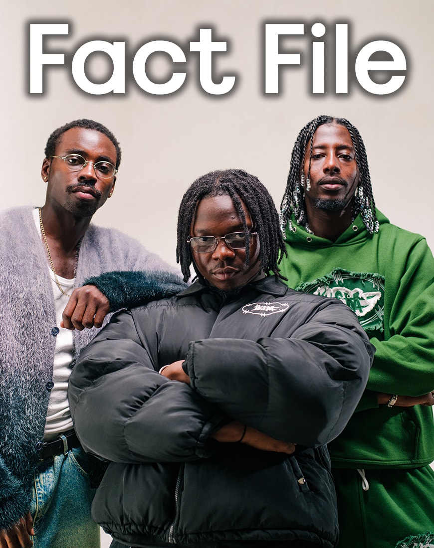 Fact file image of Wall Street Mafia members