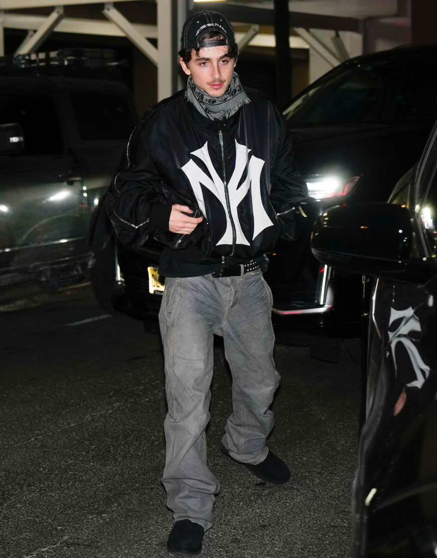 Timothee Chalamet Wearing a Baseball Cap