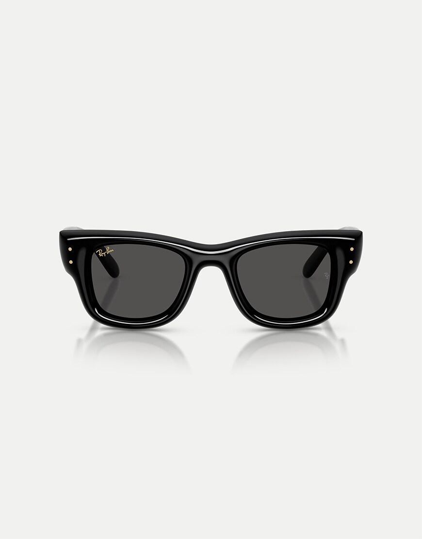 Black Wayfarer glasses