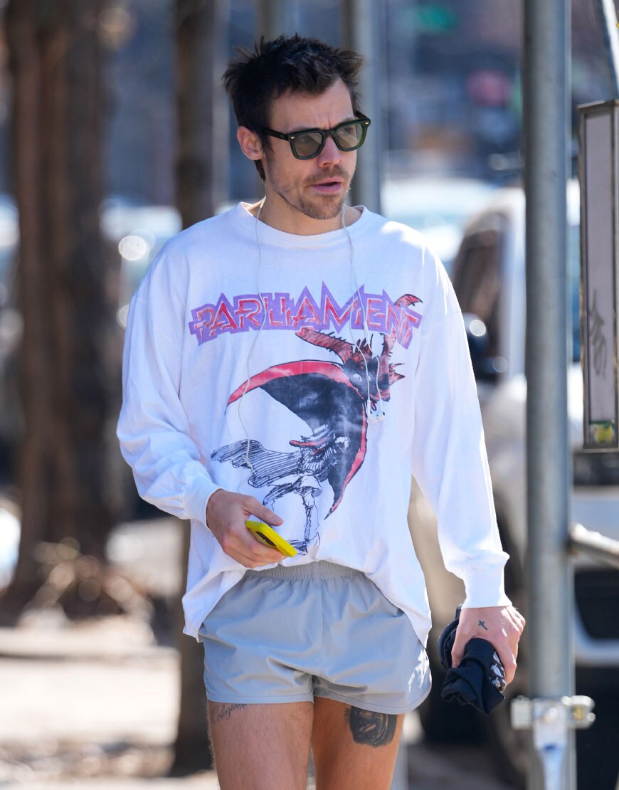 Harry Styles Wearing Shorts in New York 2026 
