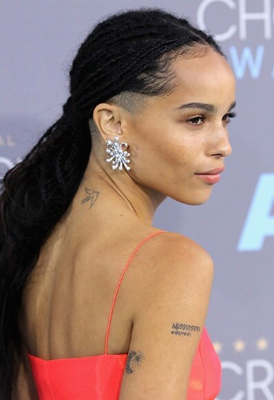 BRAIDS LIKE ZOË KRAVITZ
