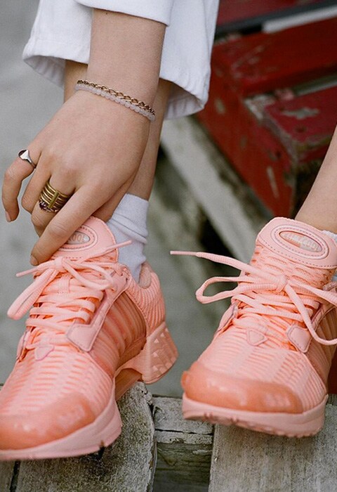 trainers