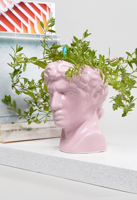 pink plant pot