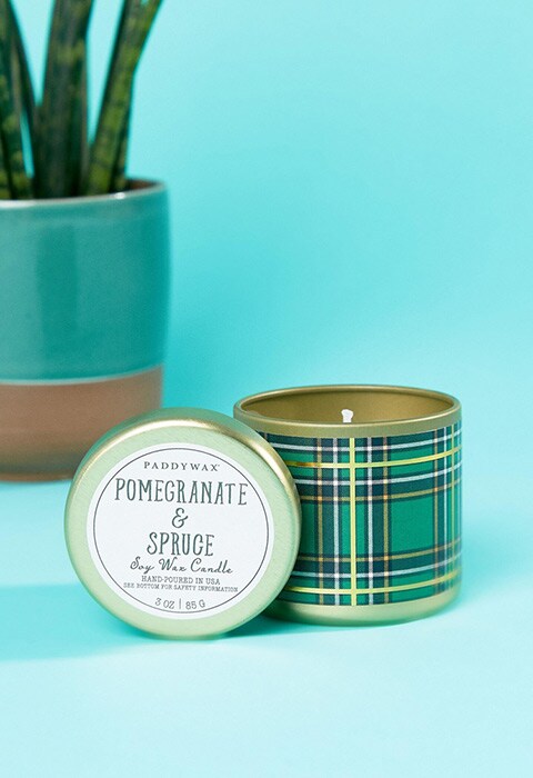 Paddywax Pomegranate & Spruce Small Candle