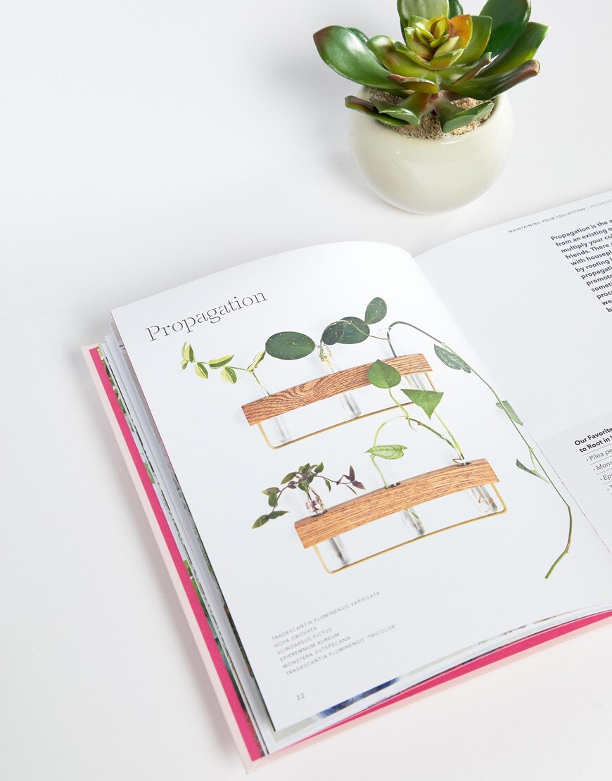 How to Raise a Plant book | ASOS Fashion & Beauty Feed