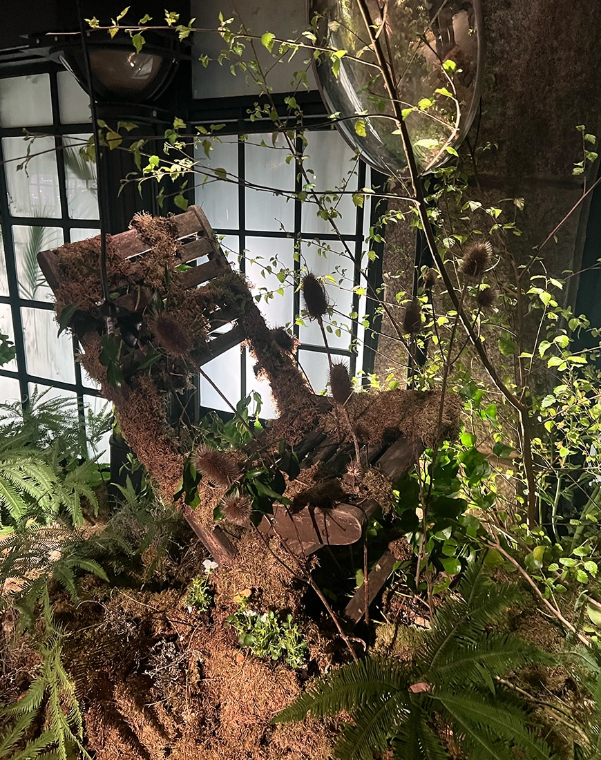 Greenery around a wooden chair
