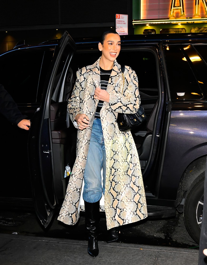 Dua Lipa wearing snakeskin jacket | ASOS Style Feed