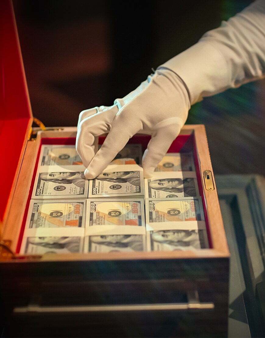 Briefcase with dollar bills