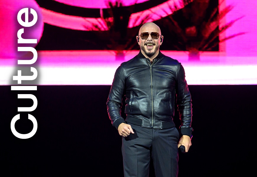 Pitbull on stage