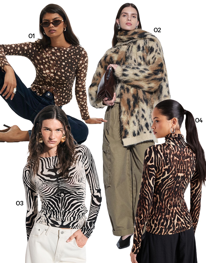 animal print autumn knitwear collage| ASOS Style Feed